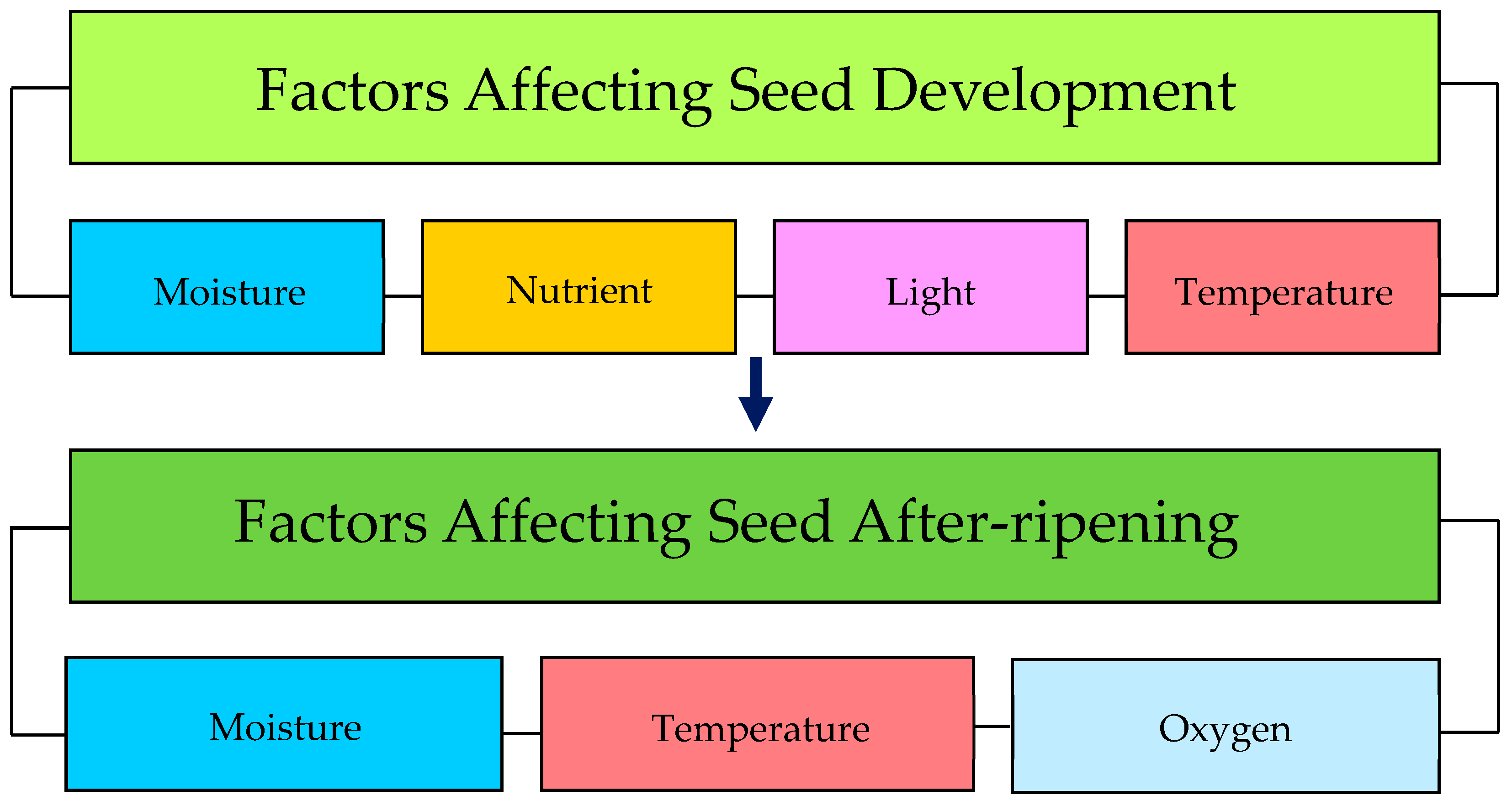 Seeds 02 00020 g001 Seeds 02 00020 g001