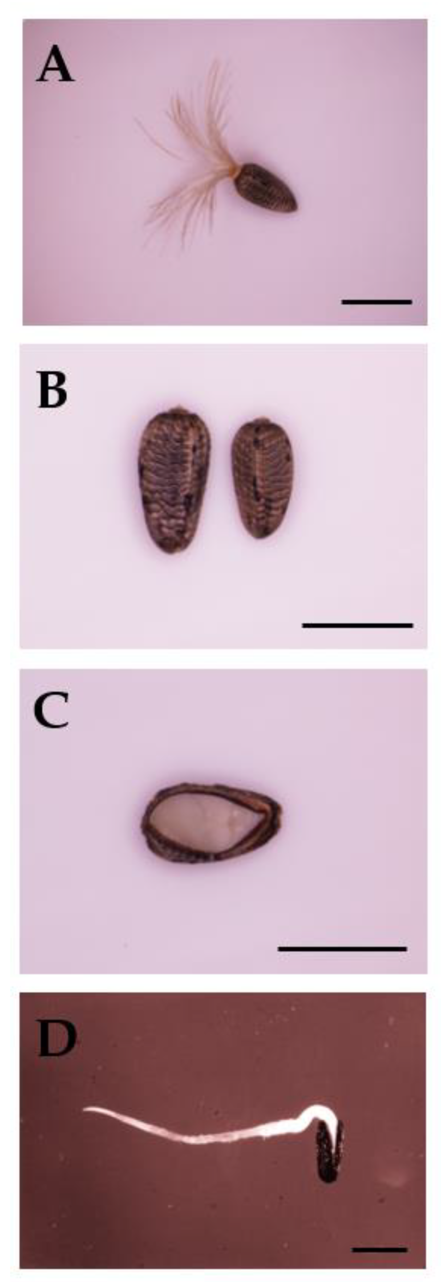 Seeds 02 00020 g002 Seeds 02 00020 g002