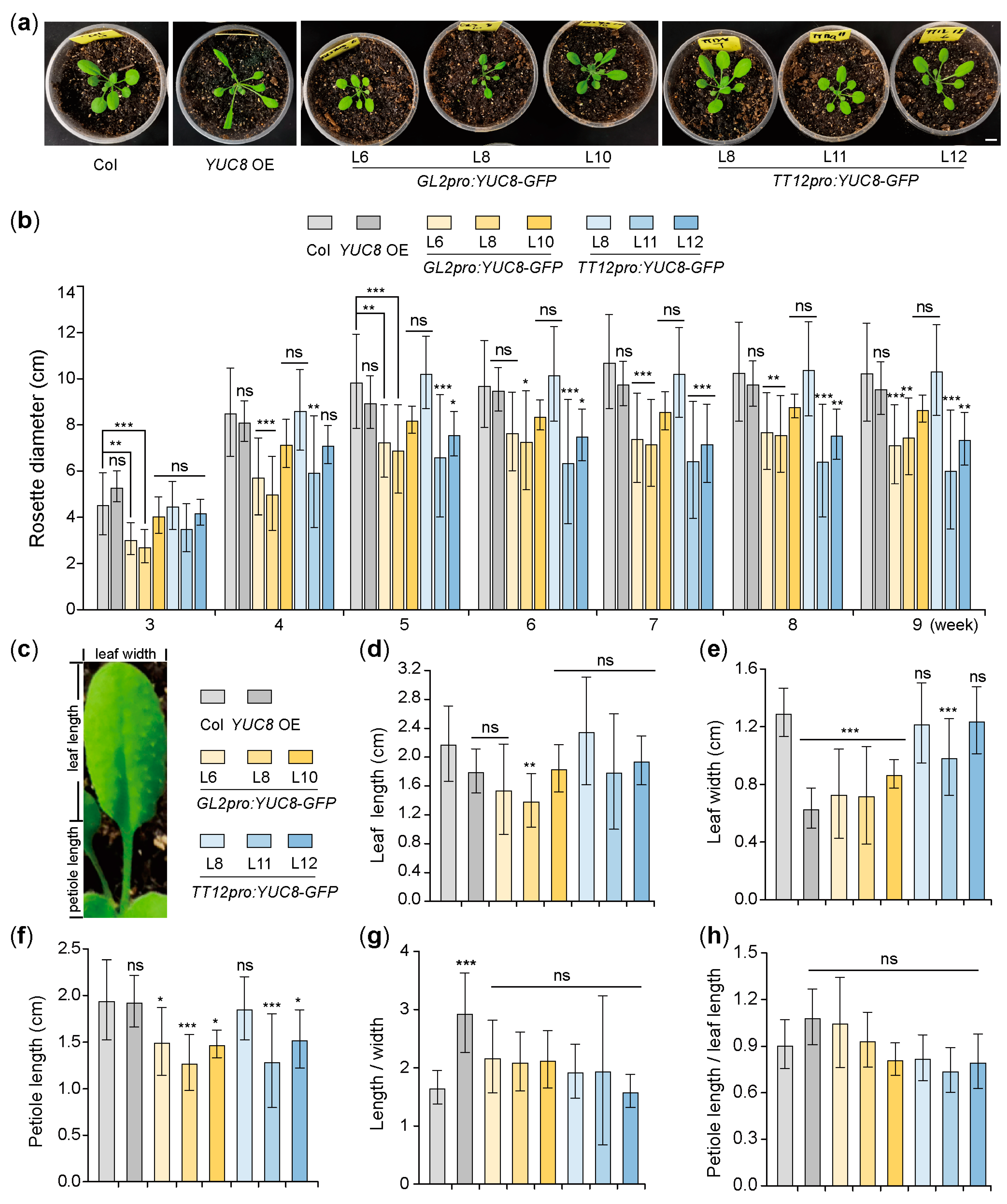 Seeds 02 00021 g001 Seeds 02 00021 g001