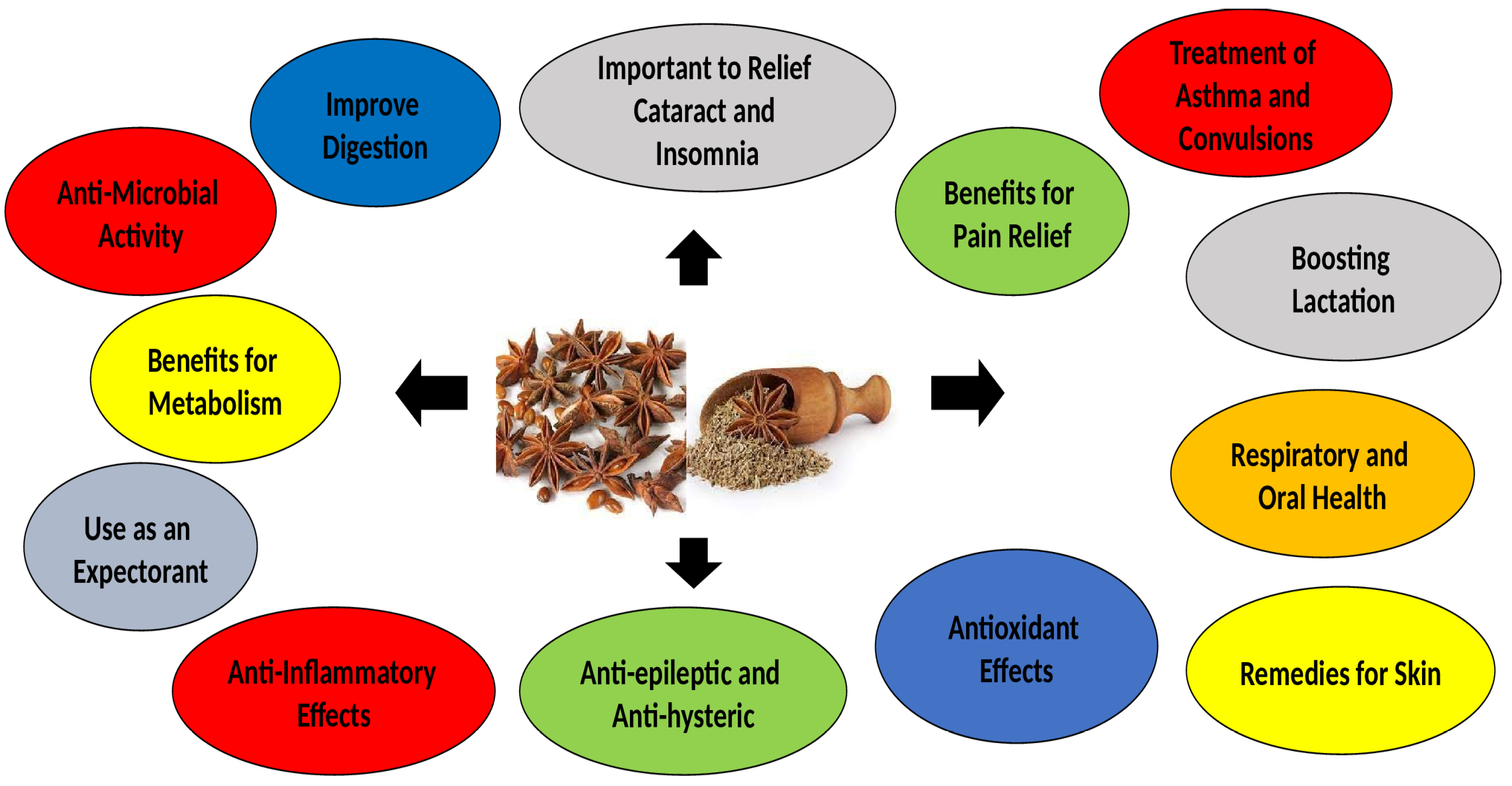 Garden cress: small seed with big benefits - Complete Wellbeing