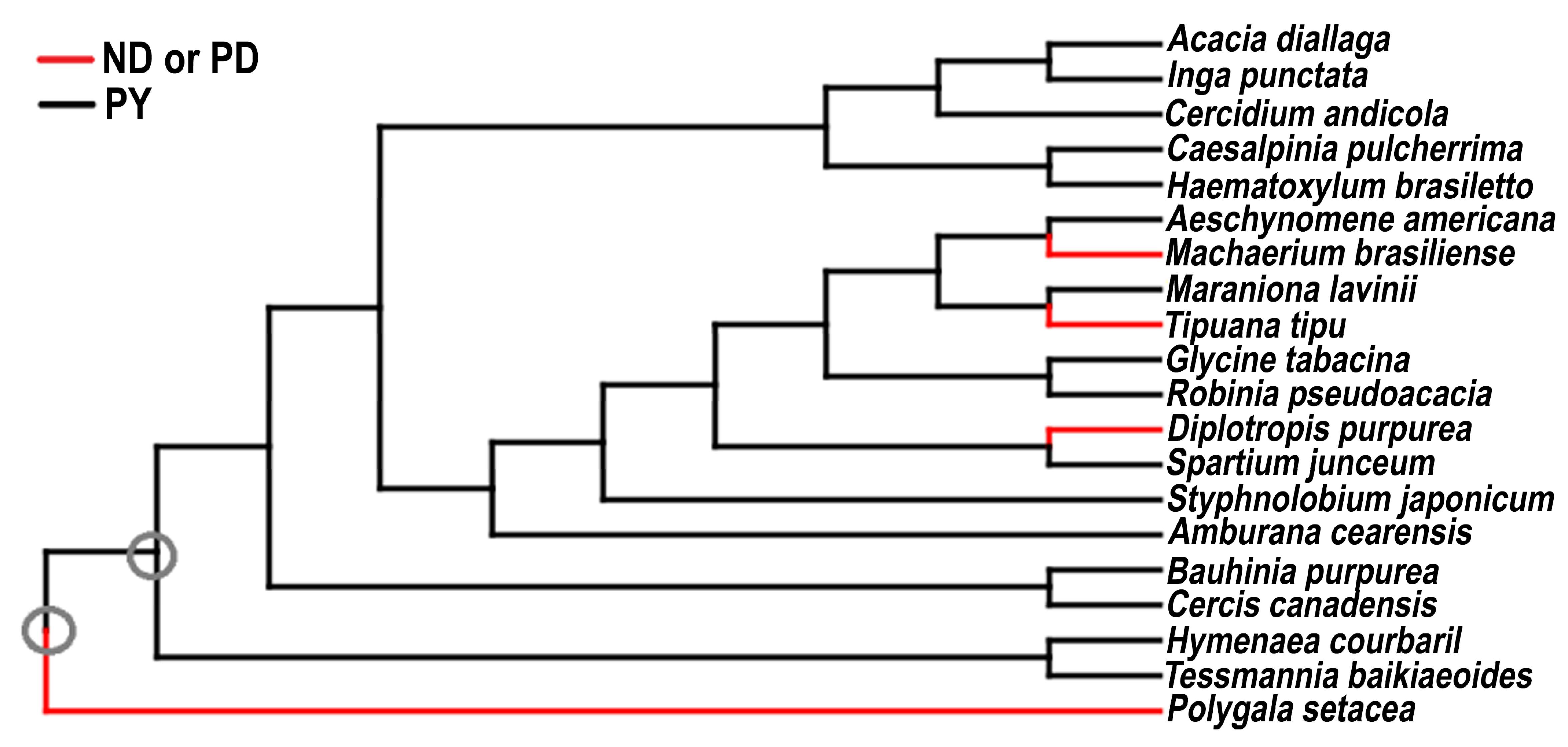 Seeds 02 00023 g002 Seeds 02 00023 g002
