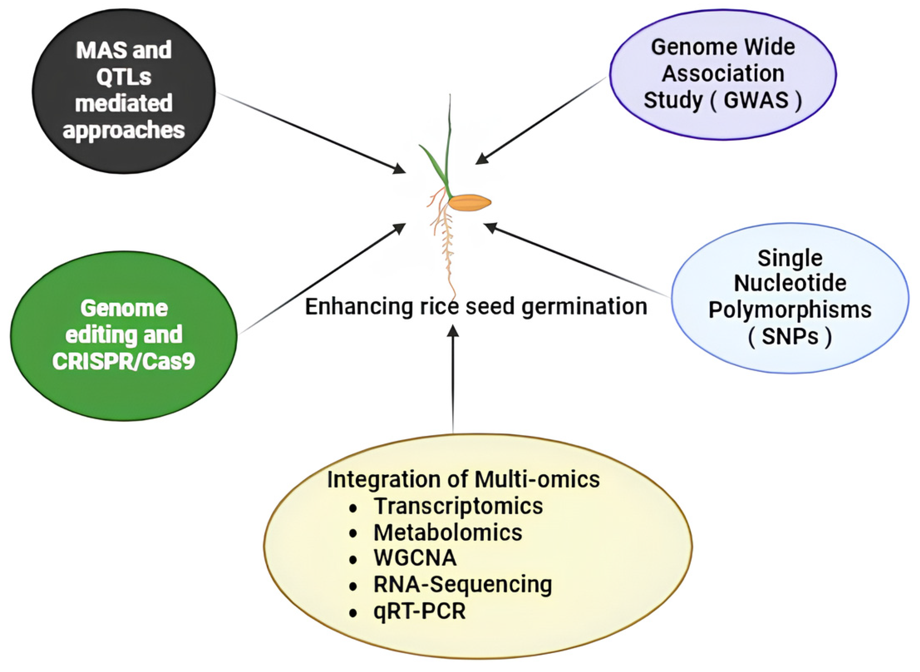 Seeds 03 00043 g002 Seeds 03 00043 g002
