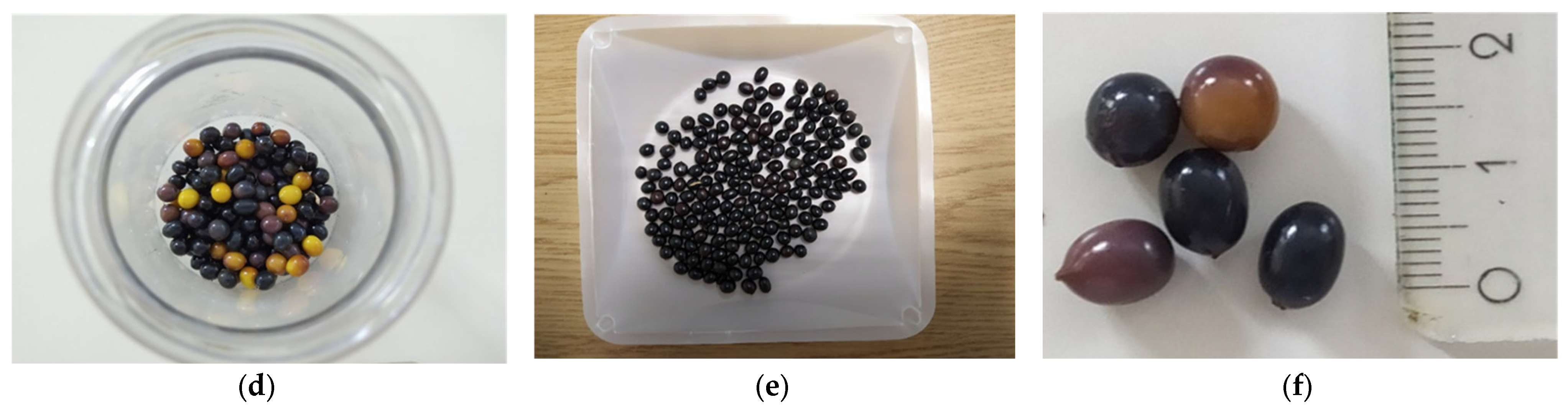 Seeds 04 00007 g001b