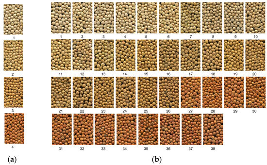 専用　Mサイズ Mitochondrial DNA: Inherent Complexities Relevant to Genetic