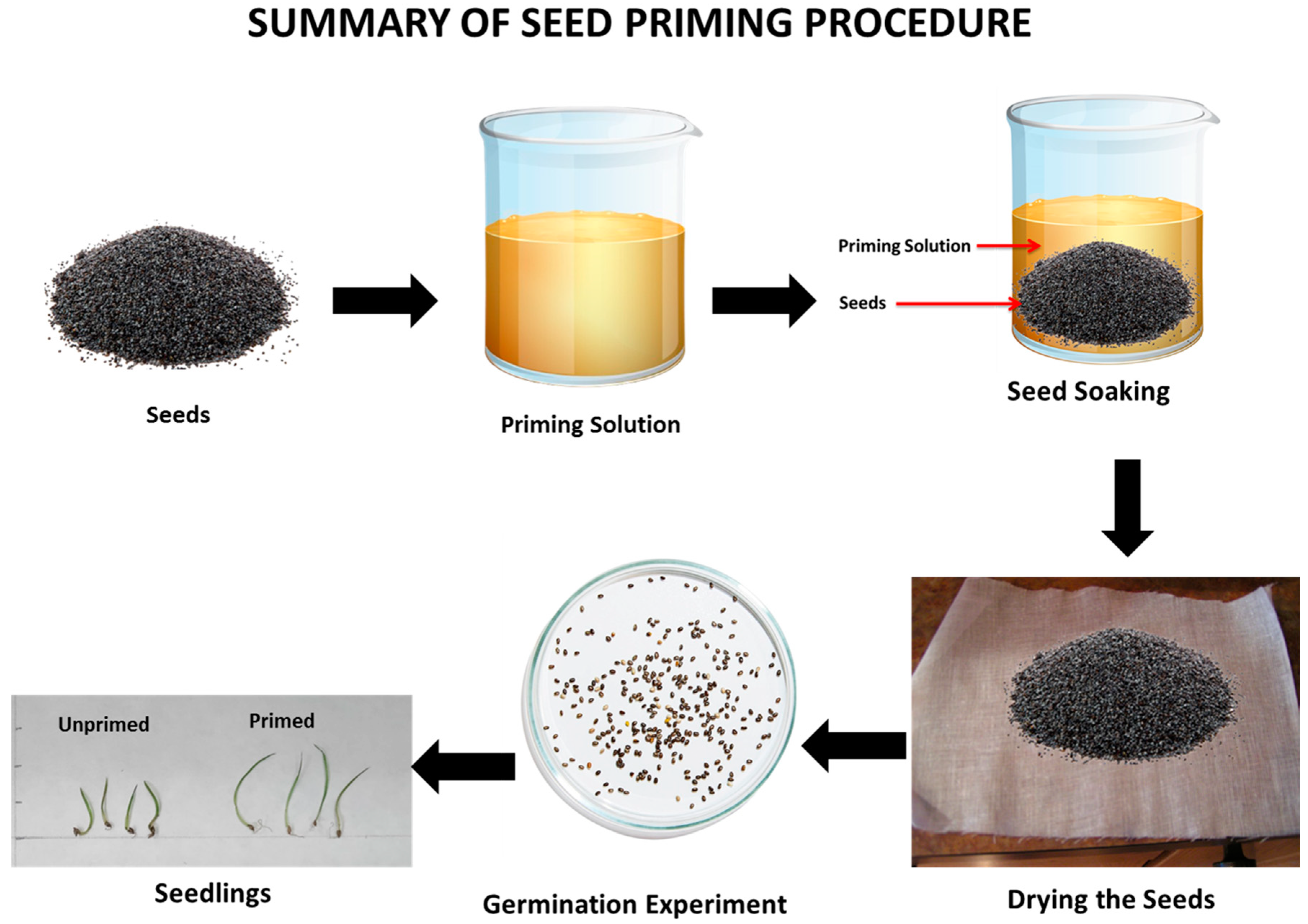 Seed Priming as an Effective Technique for Enhancing Salinity Tolerance in  Plants: Mechanistic Insights and Prospects for Saline Agriculture with a  Special Emphasis on Halophytes