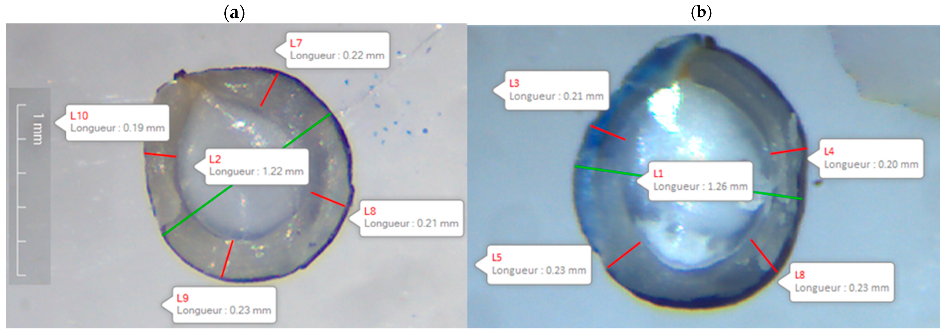 Seeds 04 00037 g002 Seeds 04 00037 g002