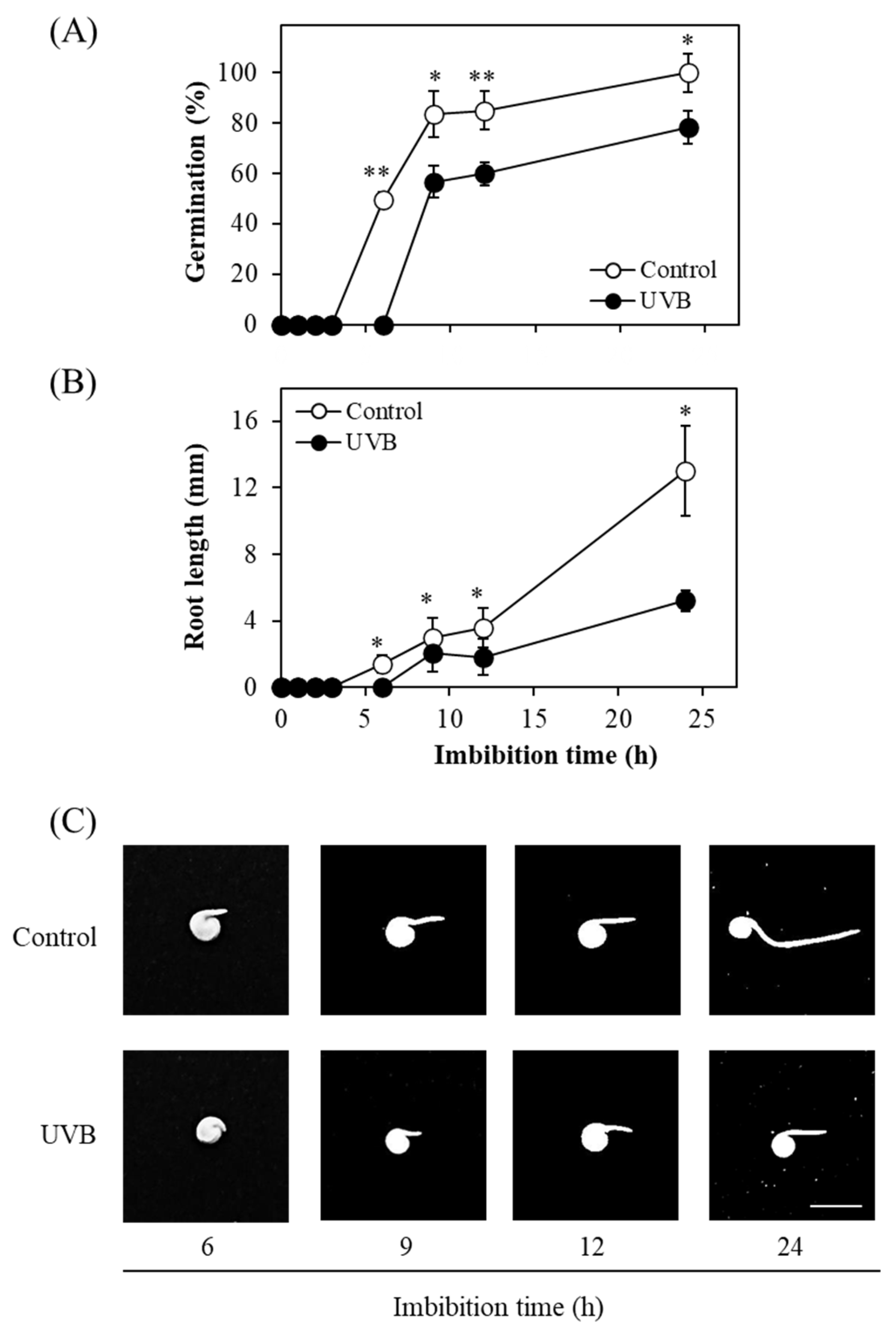 Seeds 04 00046 g001 Seeds 04 00046 g001