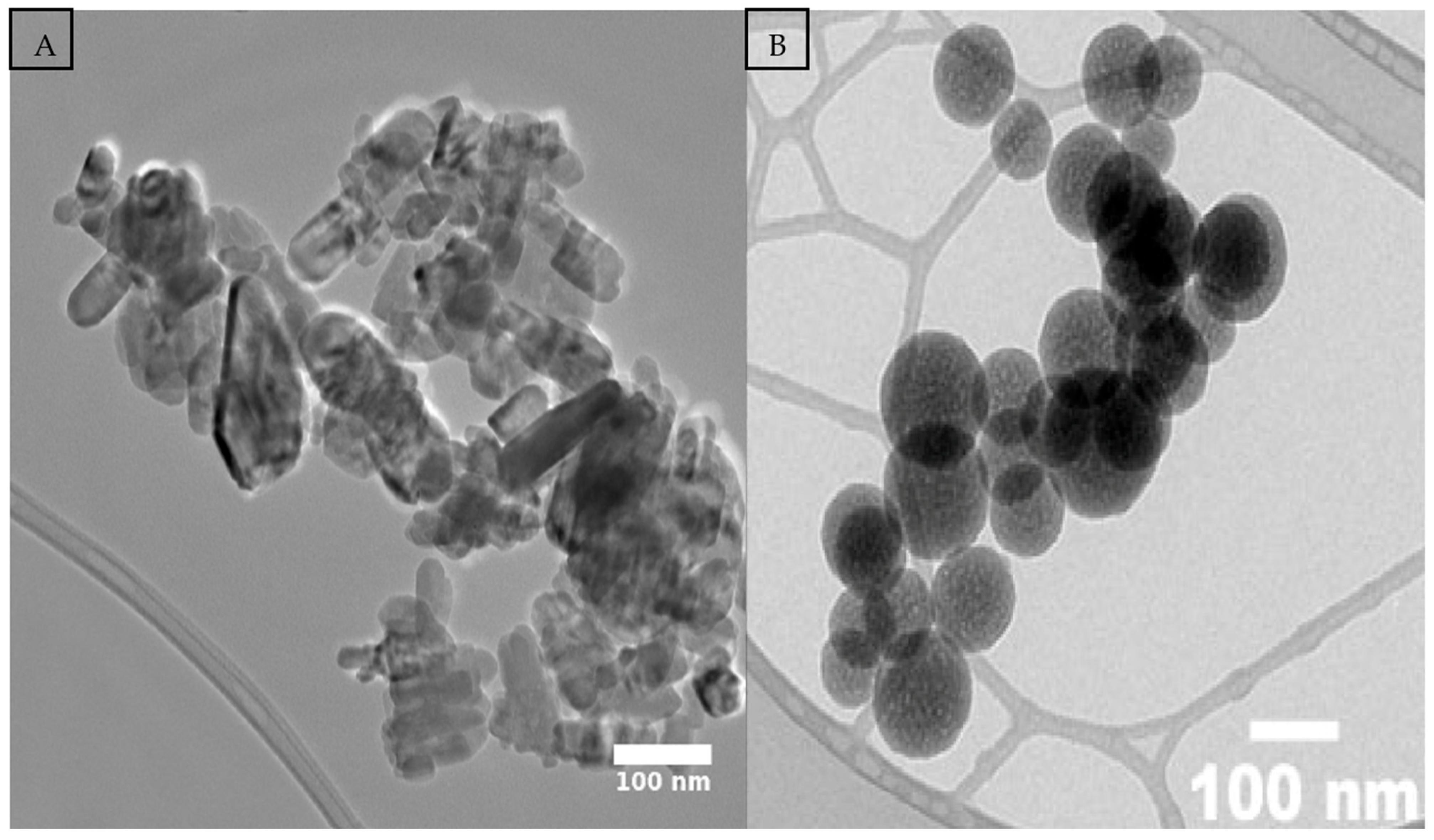 Seeds 04 00047 g001 Seeds 04 00047 g001