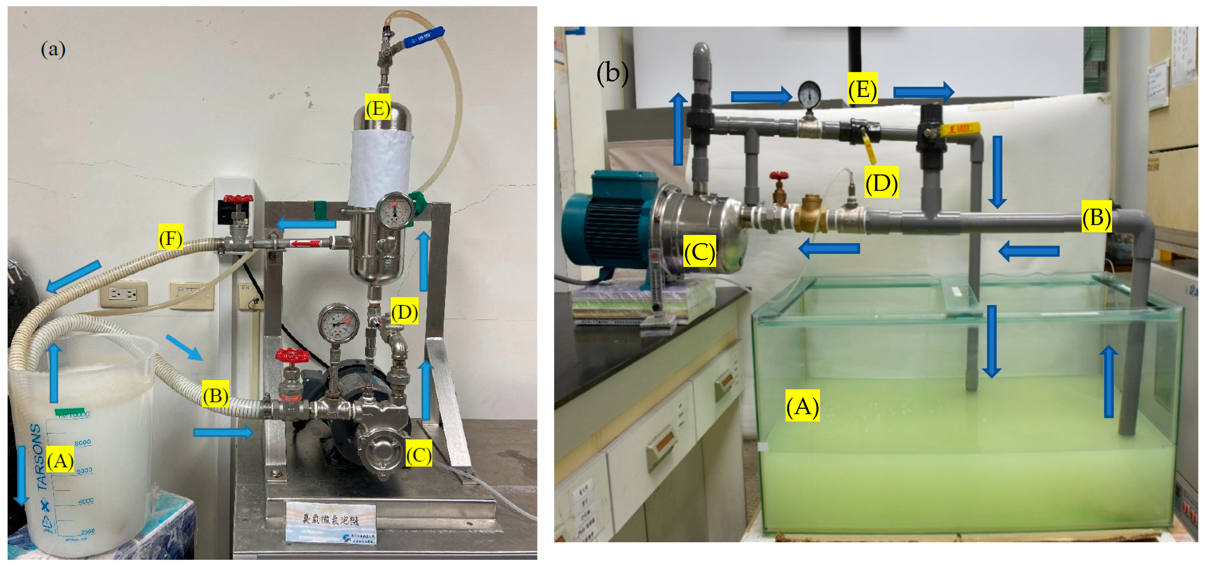 Seeds 04 00051 g001 Seeds 04 00051 g001