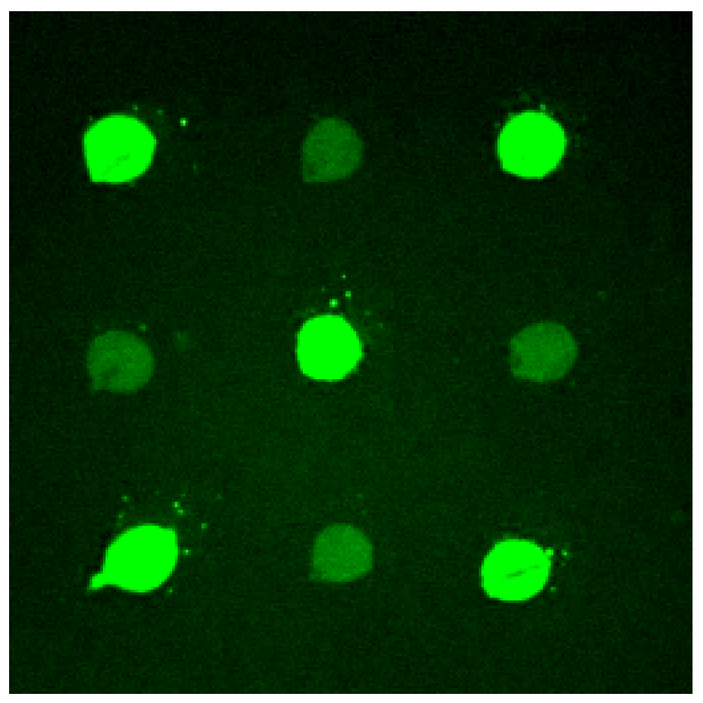 Sensors 01 00053 g002 550