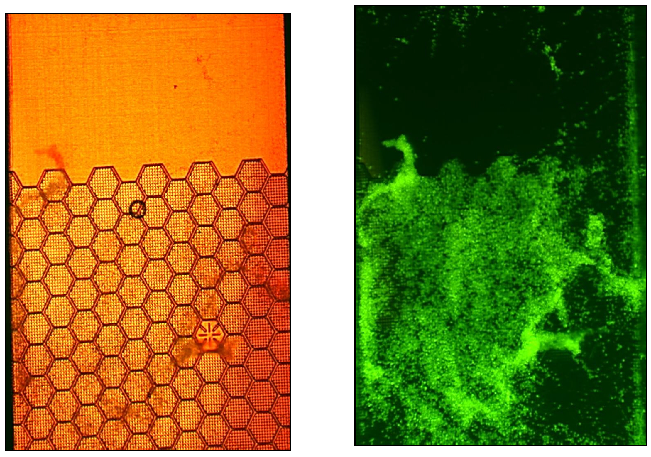 Sensors 02 00111 g005 1024