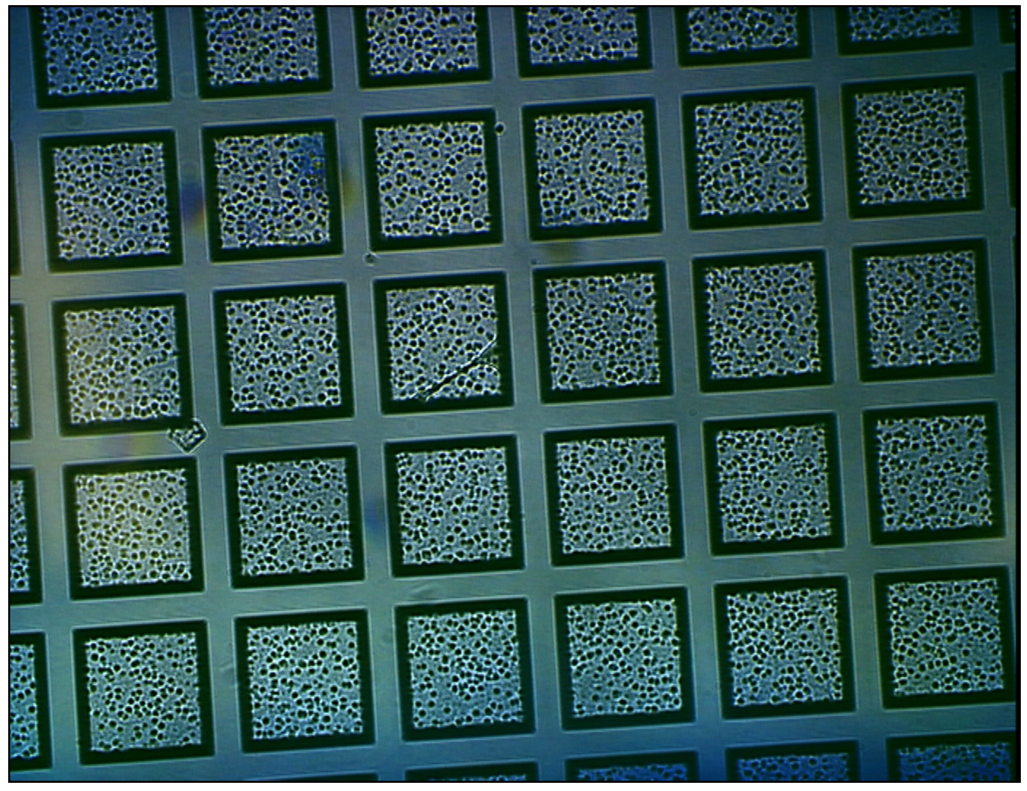 Sensors 02 00111 g011 1024