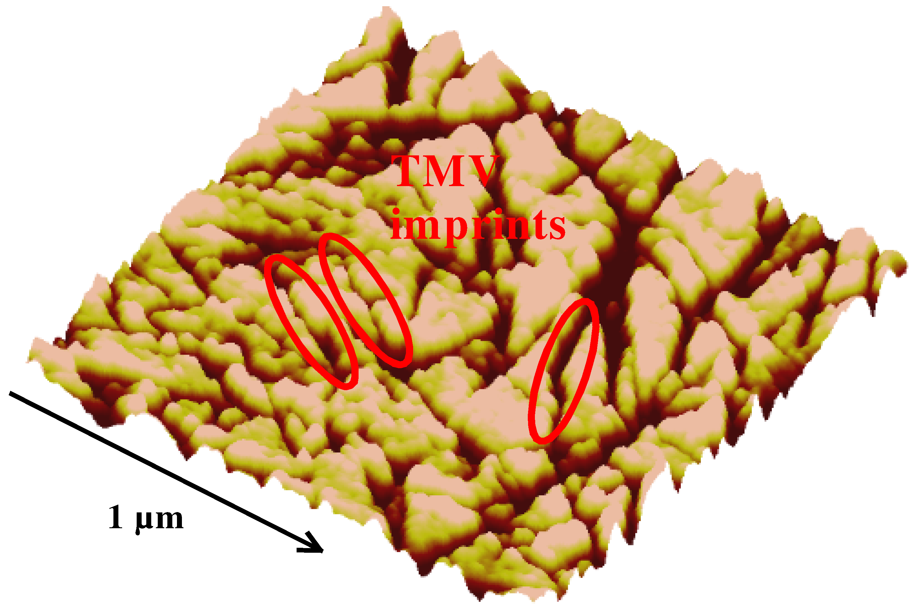 Sensors 03 00381 g009 550