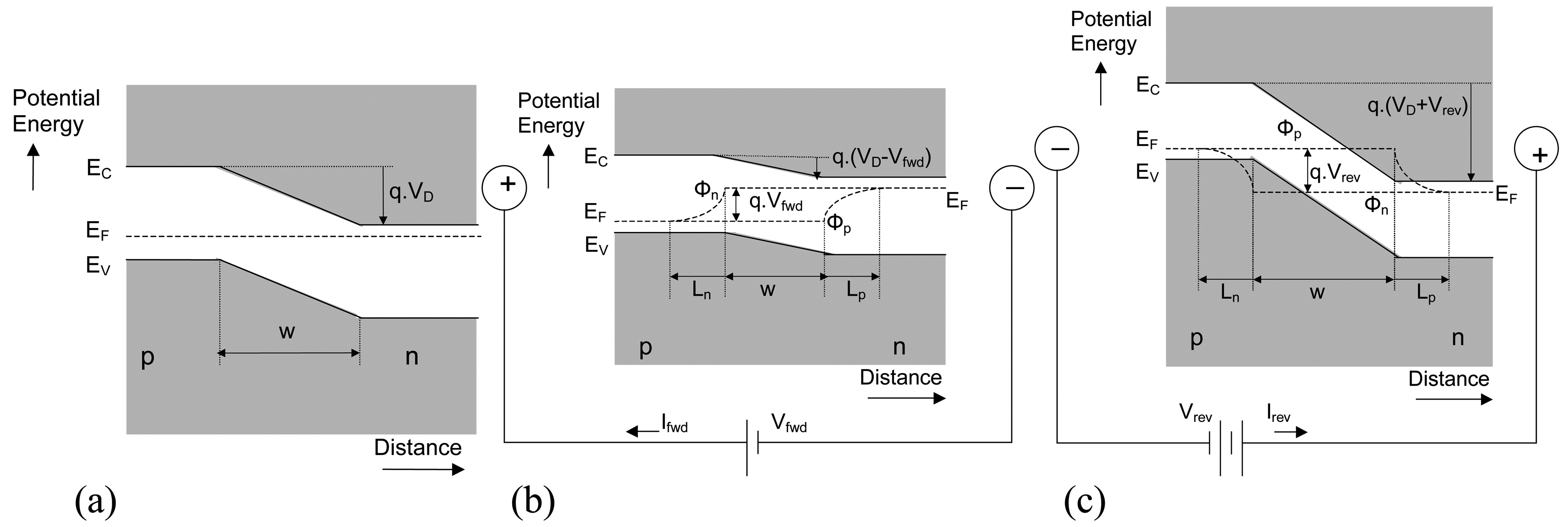 Sensors Free Full Text P N Junction Photocurrent Modelling Evaluation Under Optical And Electrical Excitation Html