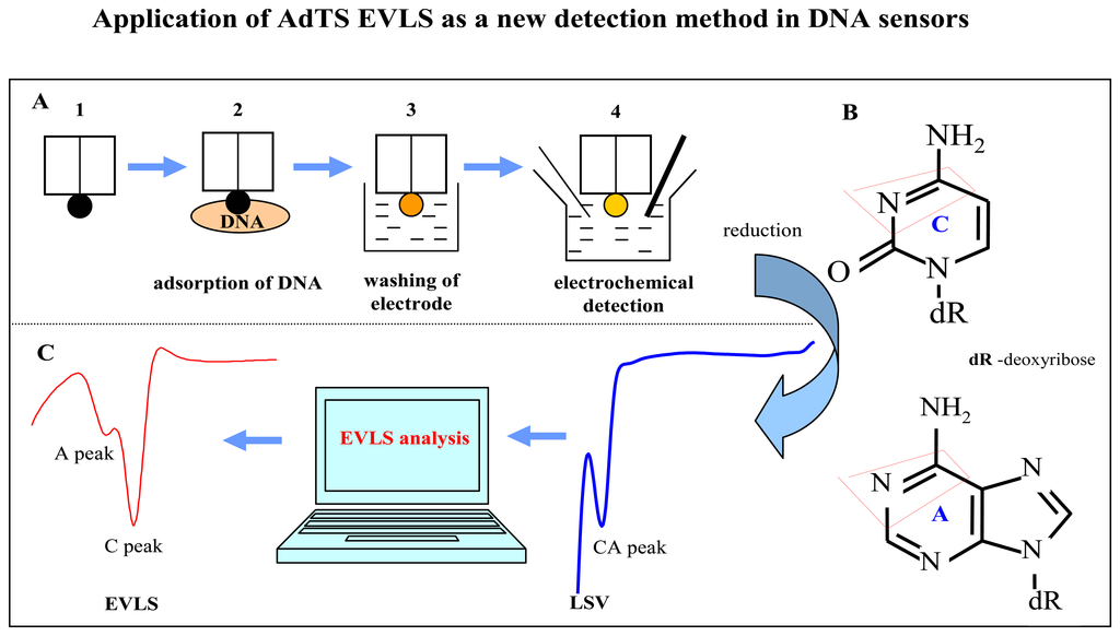Sensors Free FullText Elimination Voltammetry with Linear Scan as