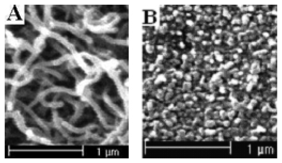 Sensors 05 00580f9 1024
