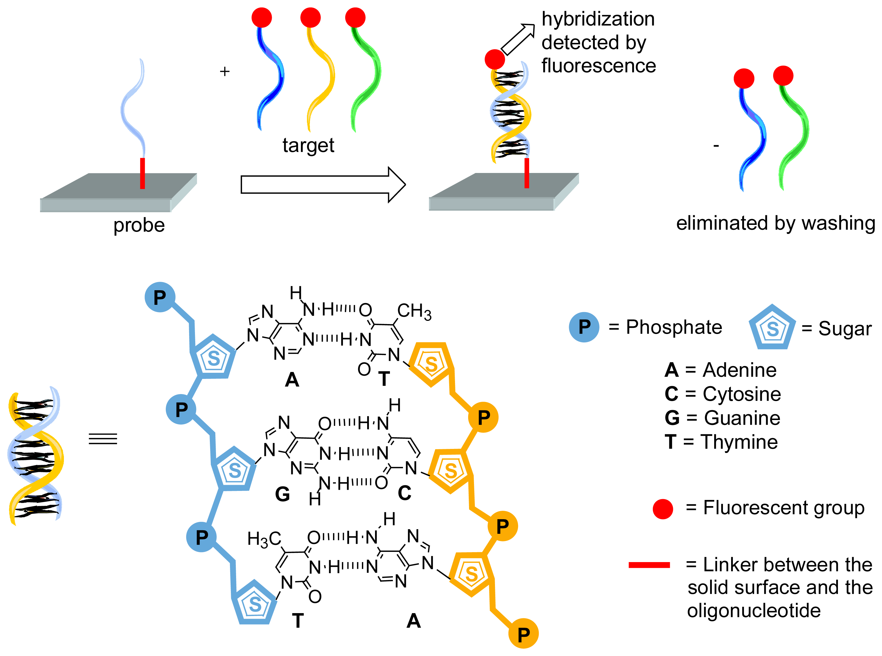 Sensors 06 00901f1 1024