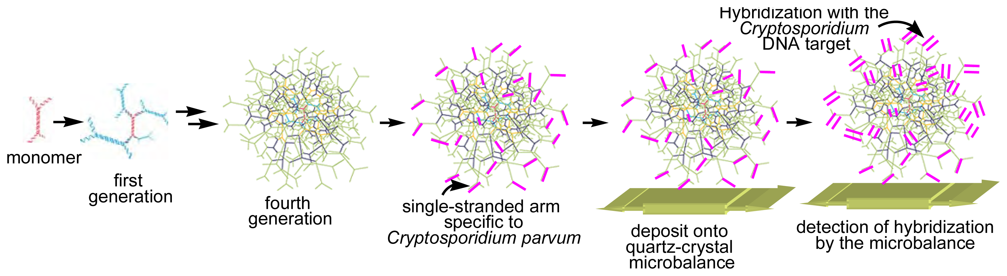 Sensors 06 00901f11 1024