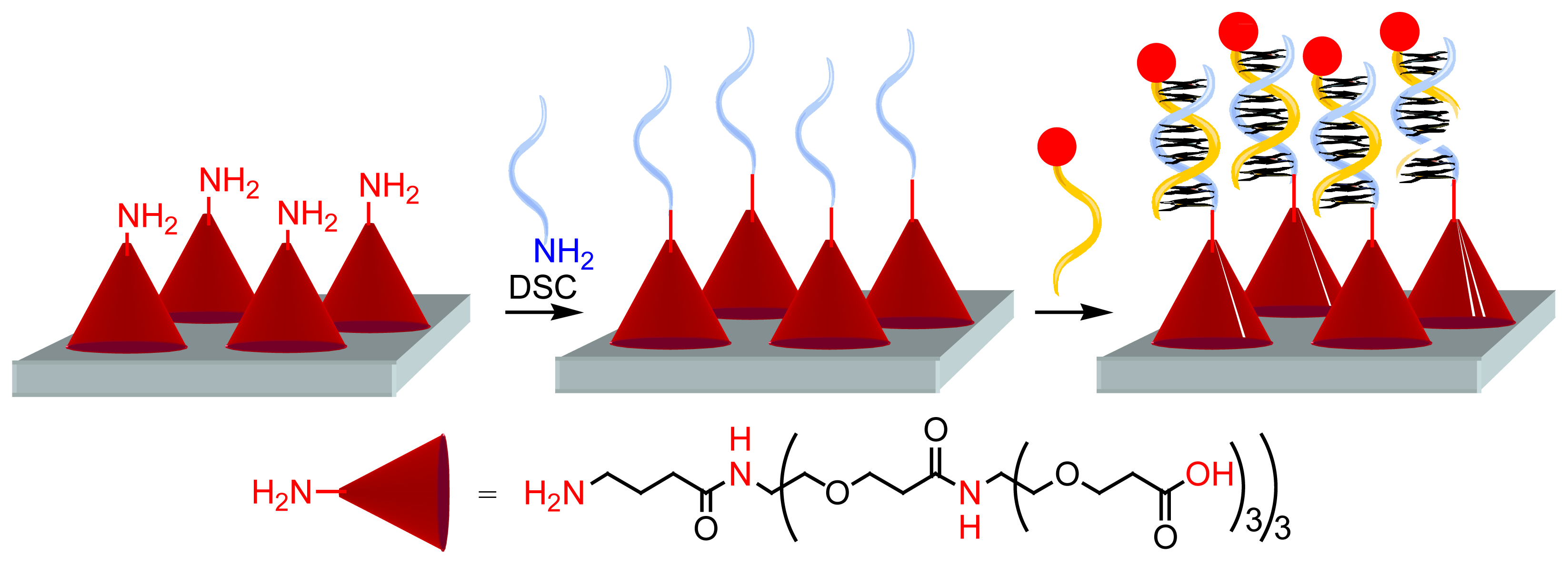 Sensors 06 00901f12 1024