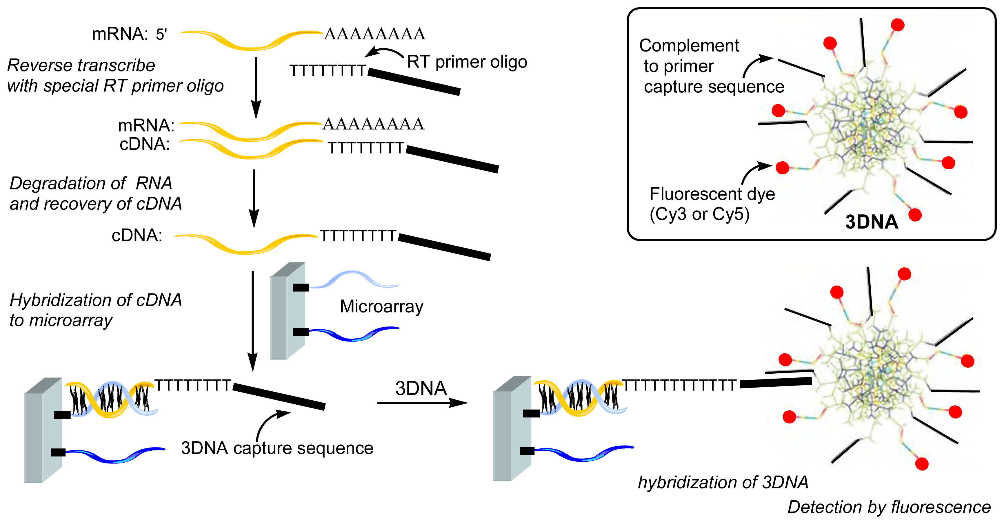 Sensors 06 00901f14 1024