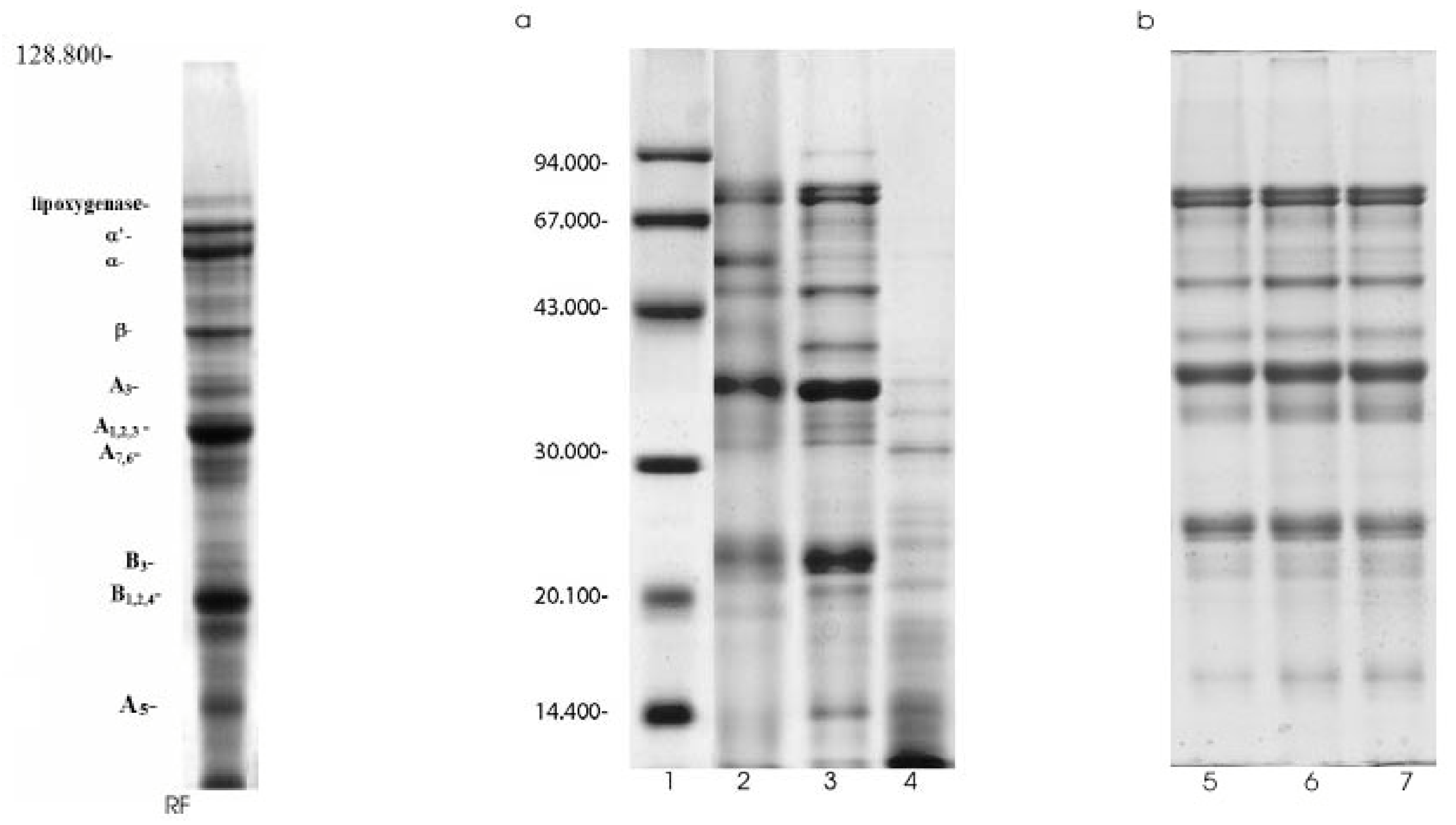 Sensors 06 01087 g002 1024