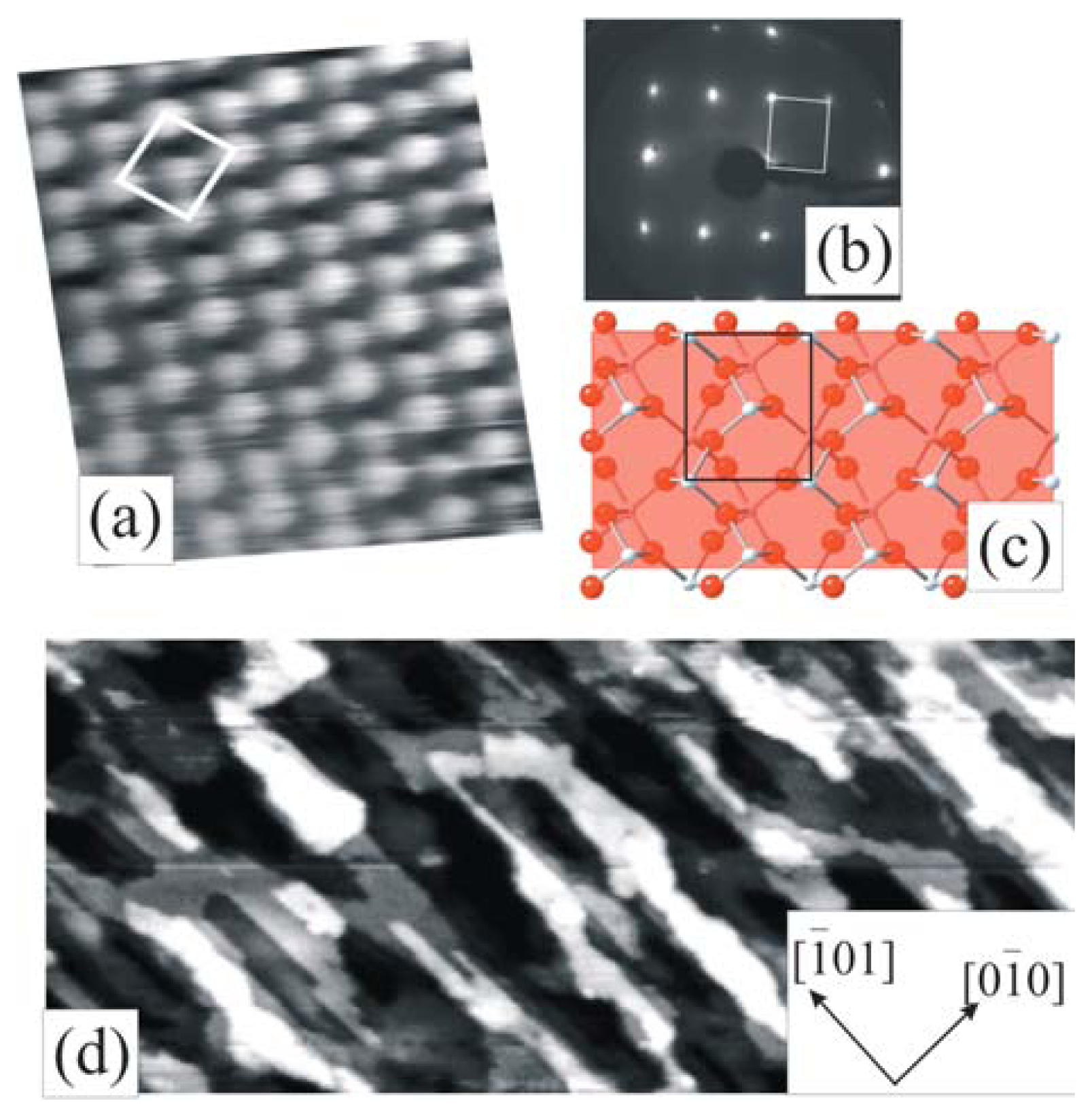 Sensors 06 01345f7 1024