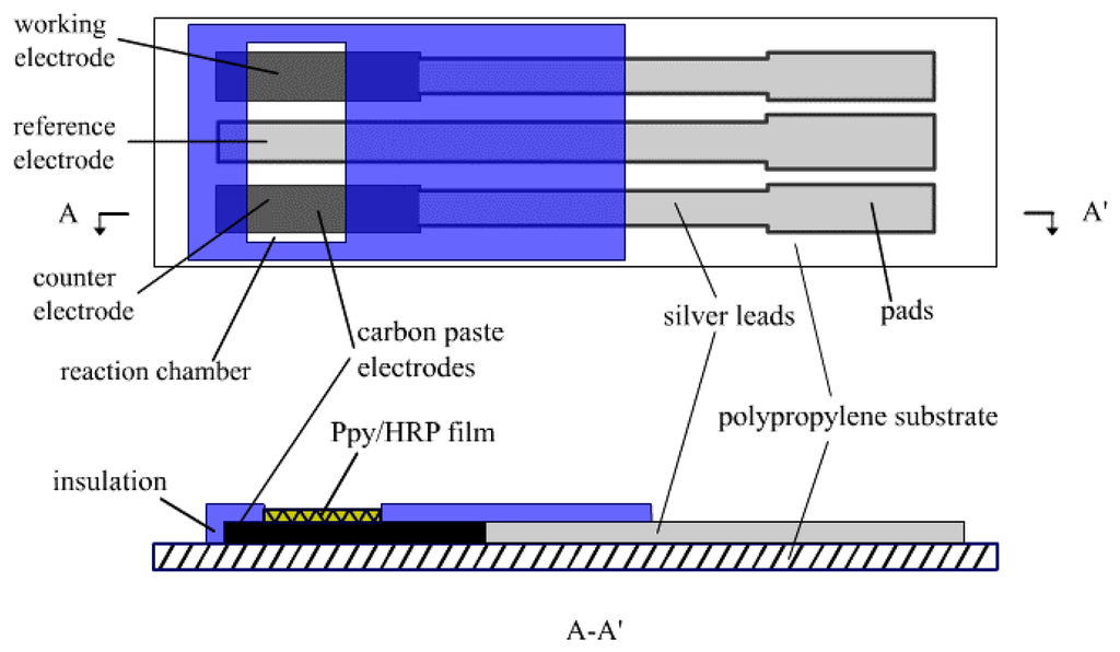 Sensors | Free Full-Text | A Hydrogen Peroxide Sensor Prepared by ...