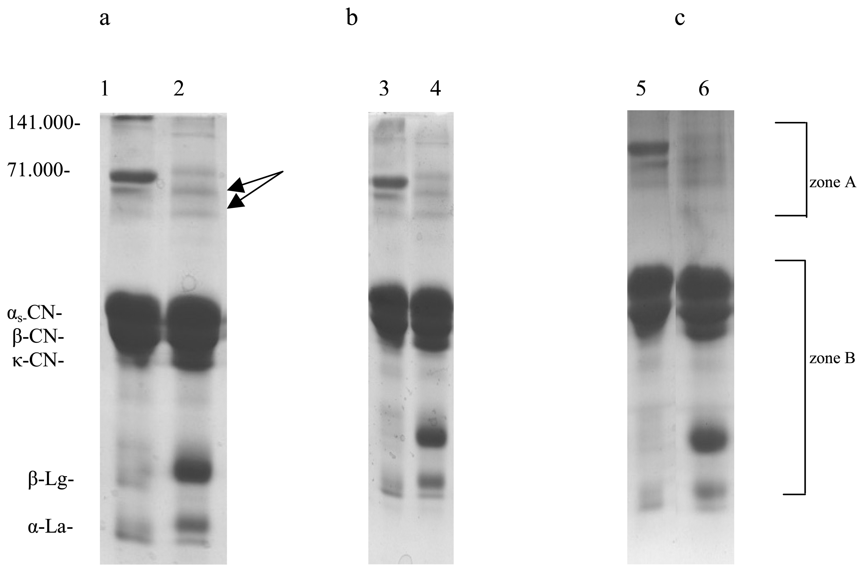 Sensors 07 00371f3 1024