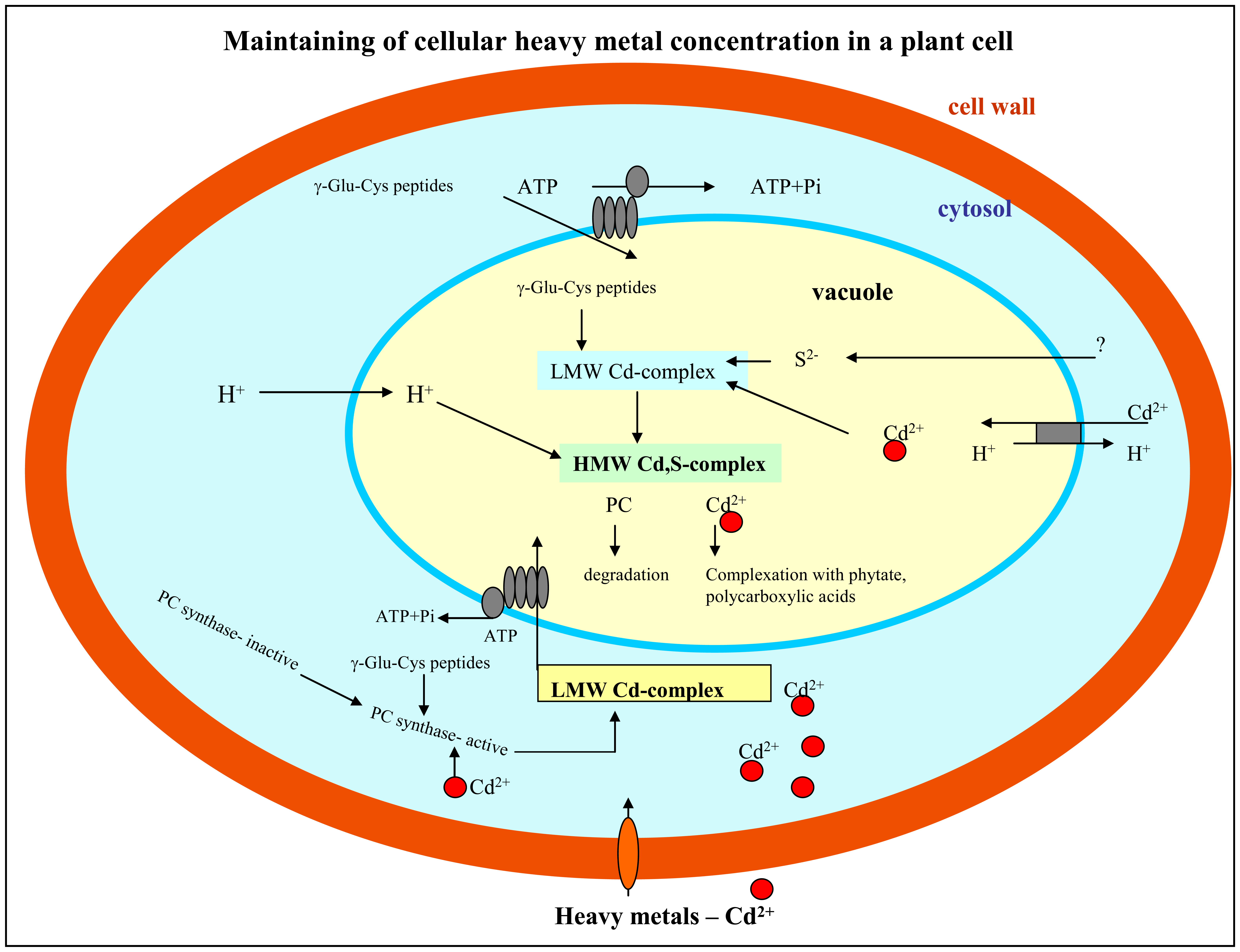 Sensors 07 00932f2 1024