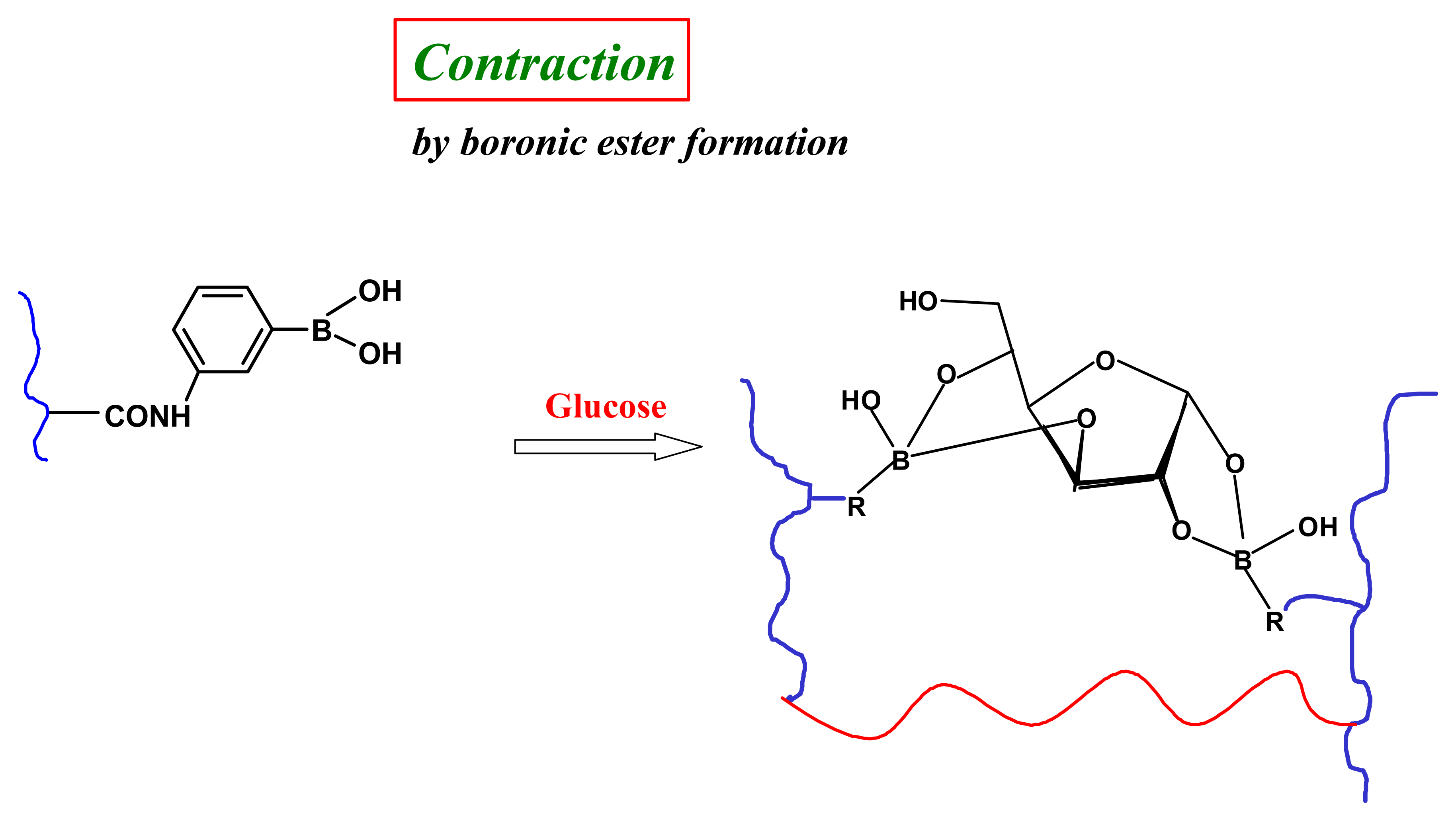 Sensors 07 01578f12 1024