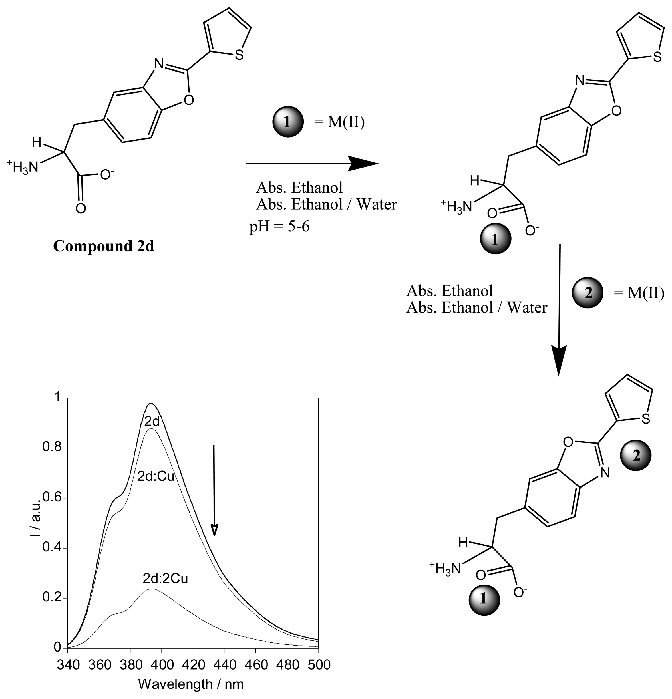 Sensors 07 02096f9 1024