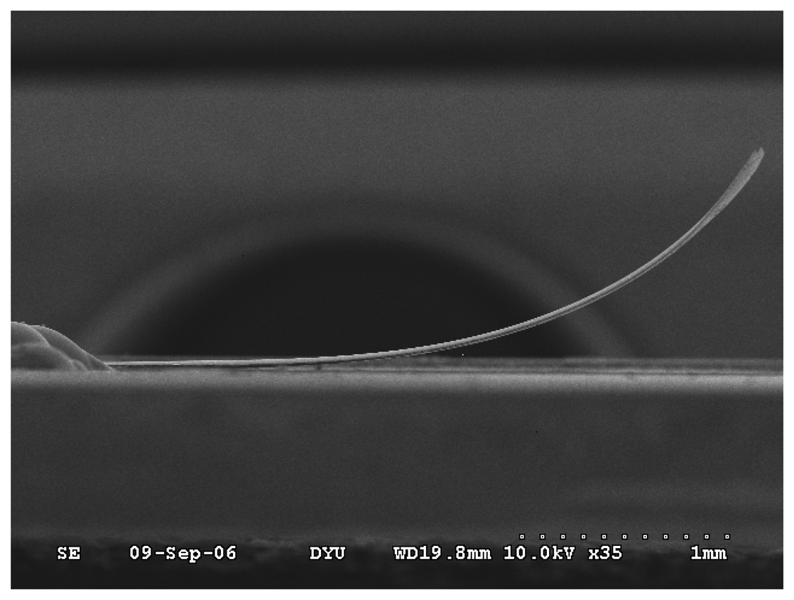 Sensors 07 02389f7
