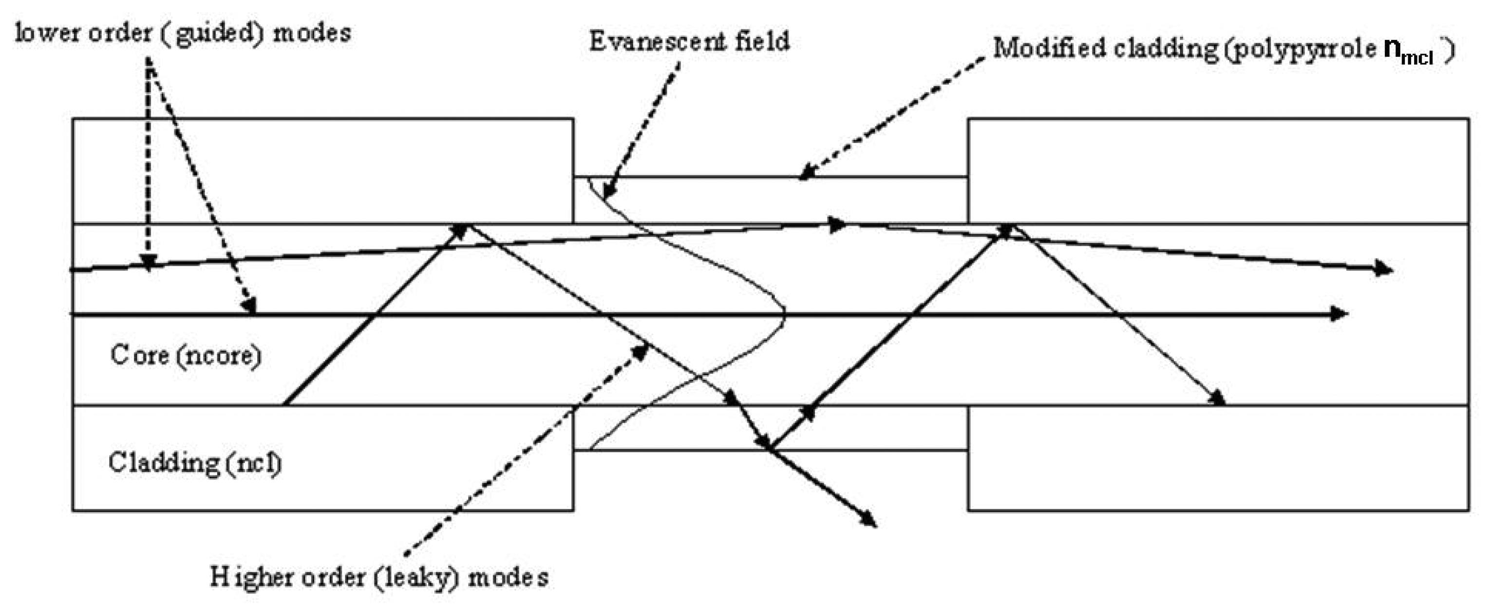 Sensors 07 03100f6 1024