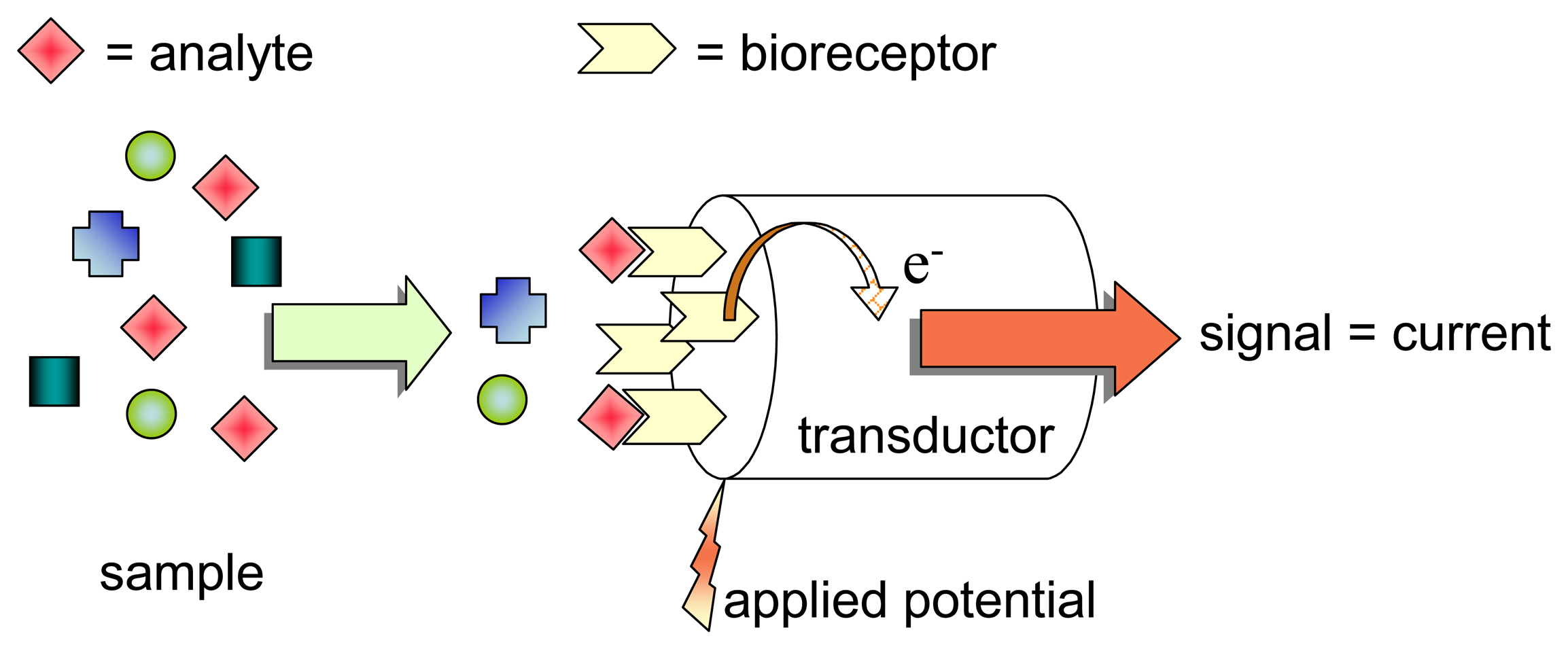 BIOSENSORS