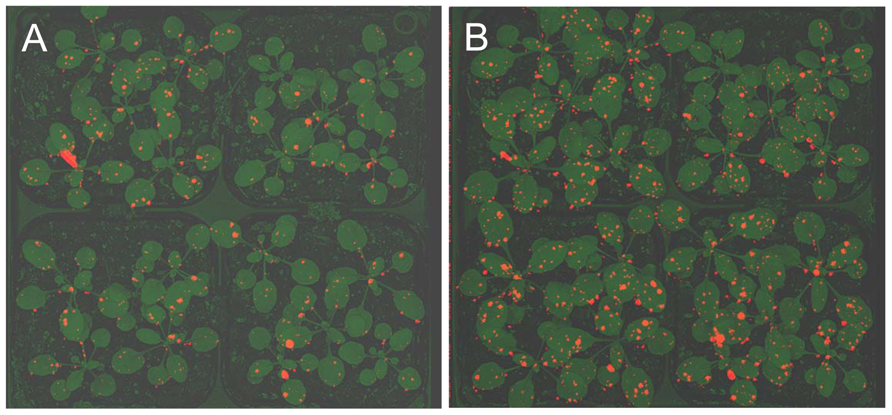 Sensors 08 01539f3 1024