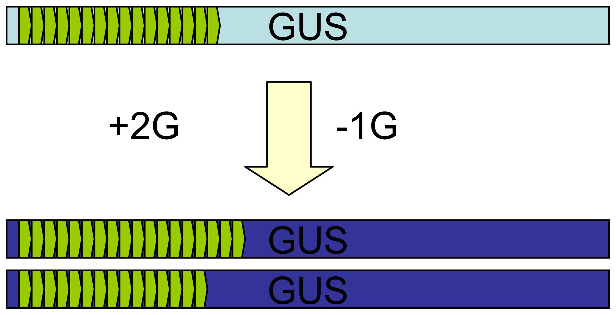 Sensors 08 01539f4 1024