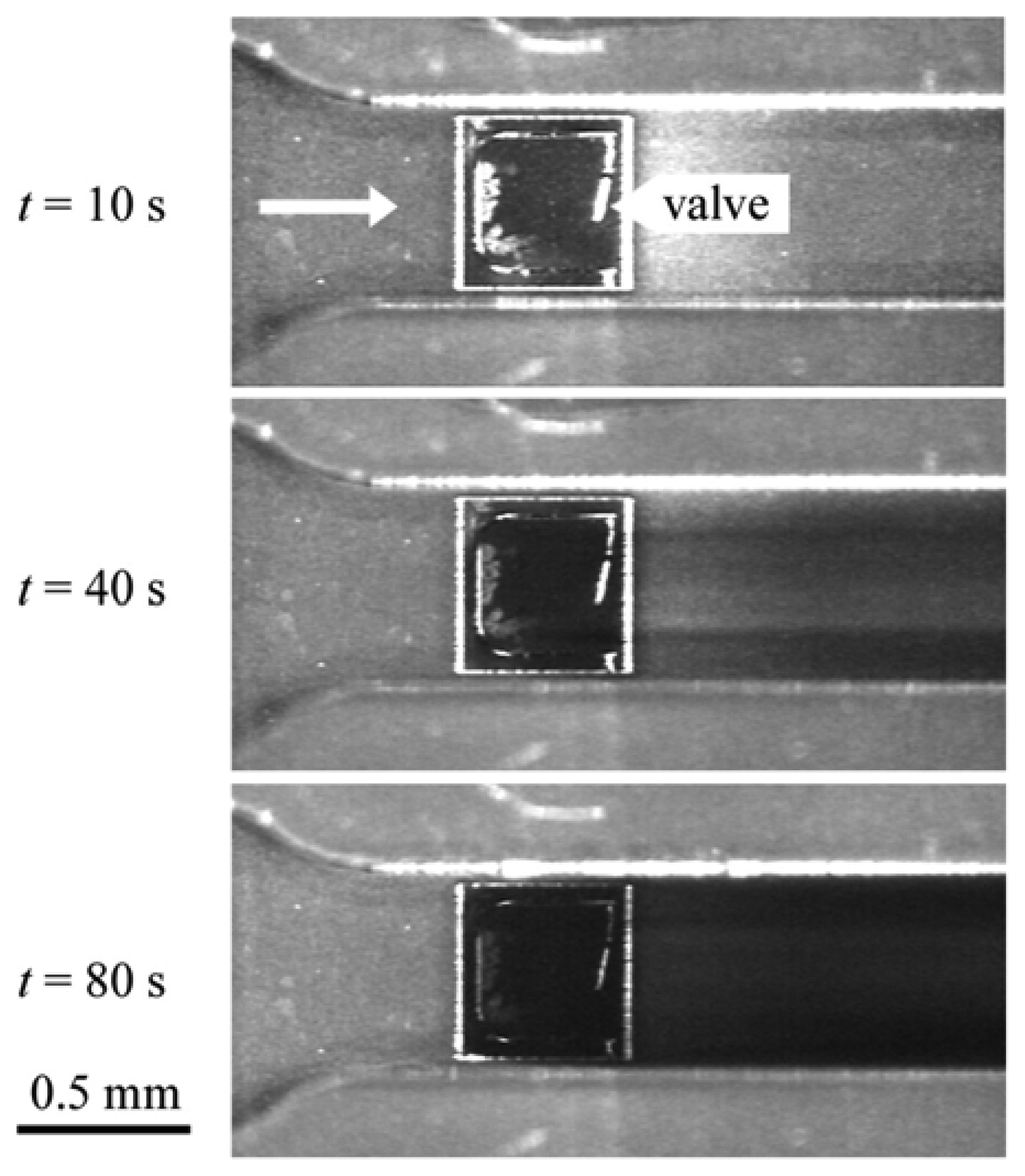 Sensors 08 01595f14