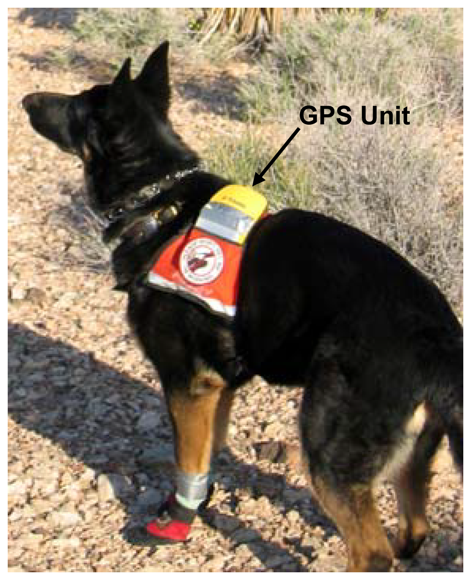 Sensors 08 02208f2 1024