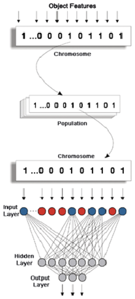 Sensors 08 02959f4 1024