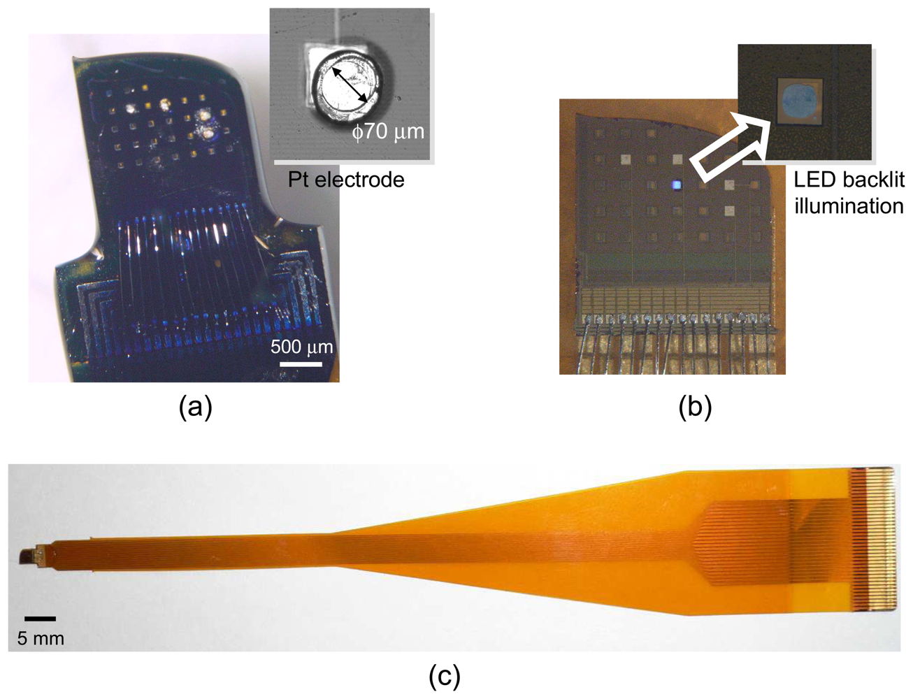 Sensors 08 03183f12 1024