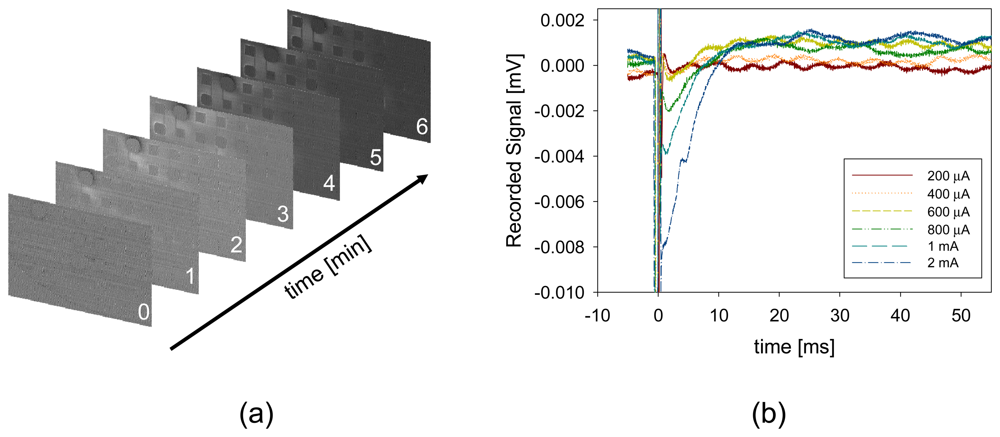 Sensors 08 03183f13 1024