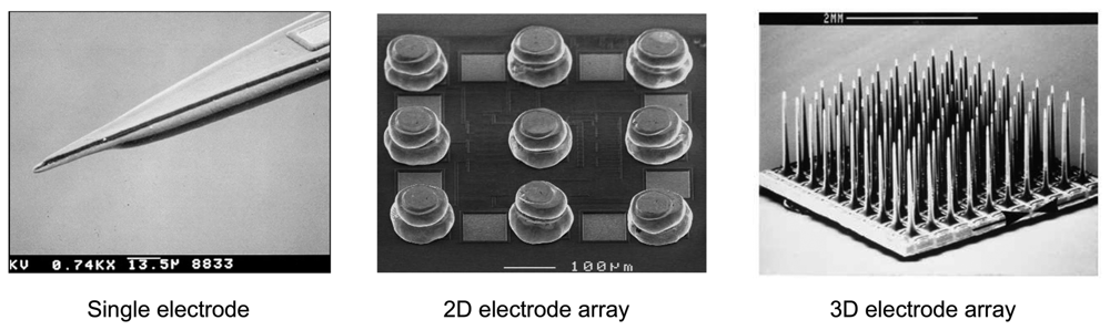Sensors 08 03183f6 1024