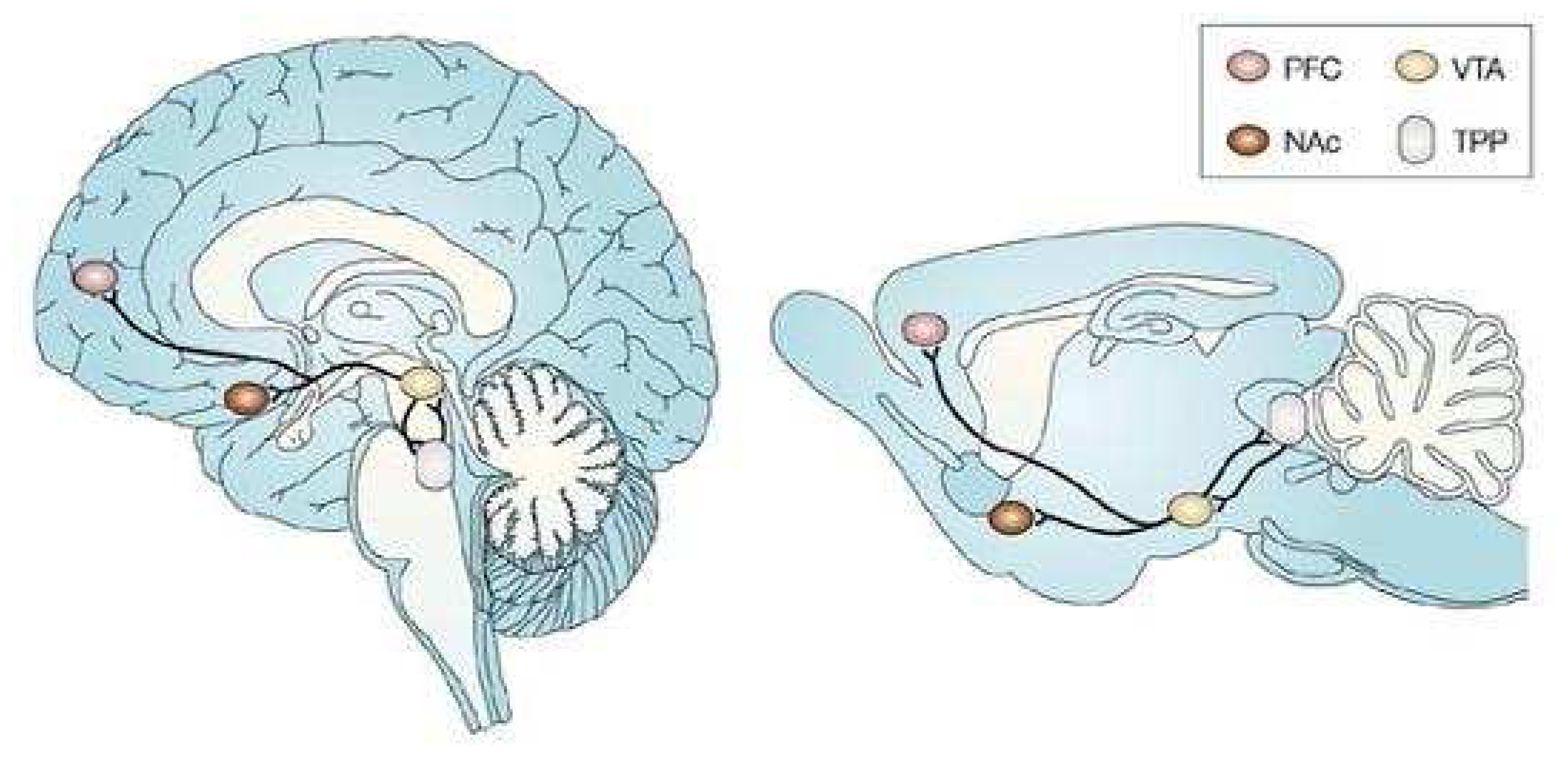 Sensors 08 04033f1 1024