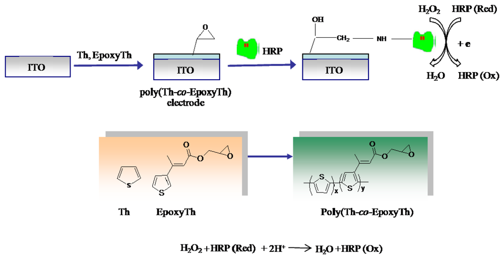 Sensors Free FullText Development of Amperometric Hydrogen