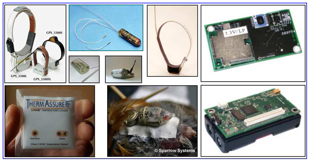 Sensors 08 04365f8 1024