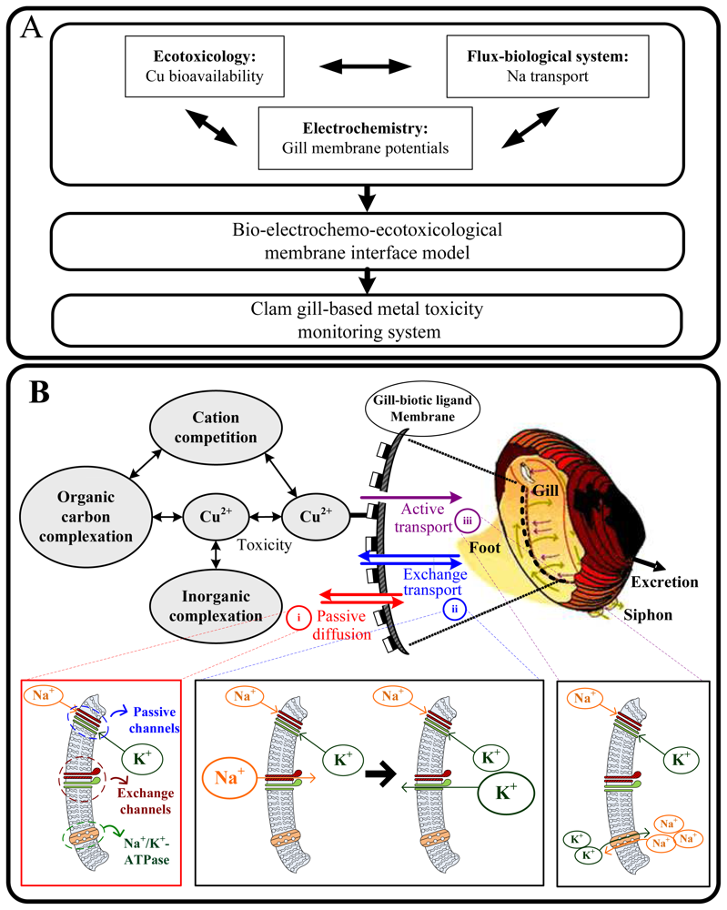 Sensors 08 05250f1 1024