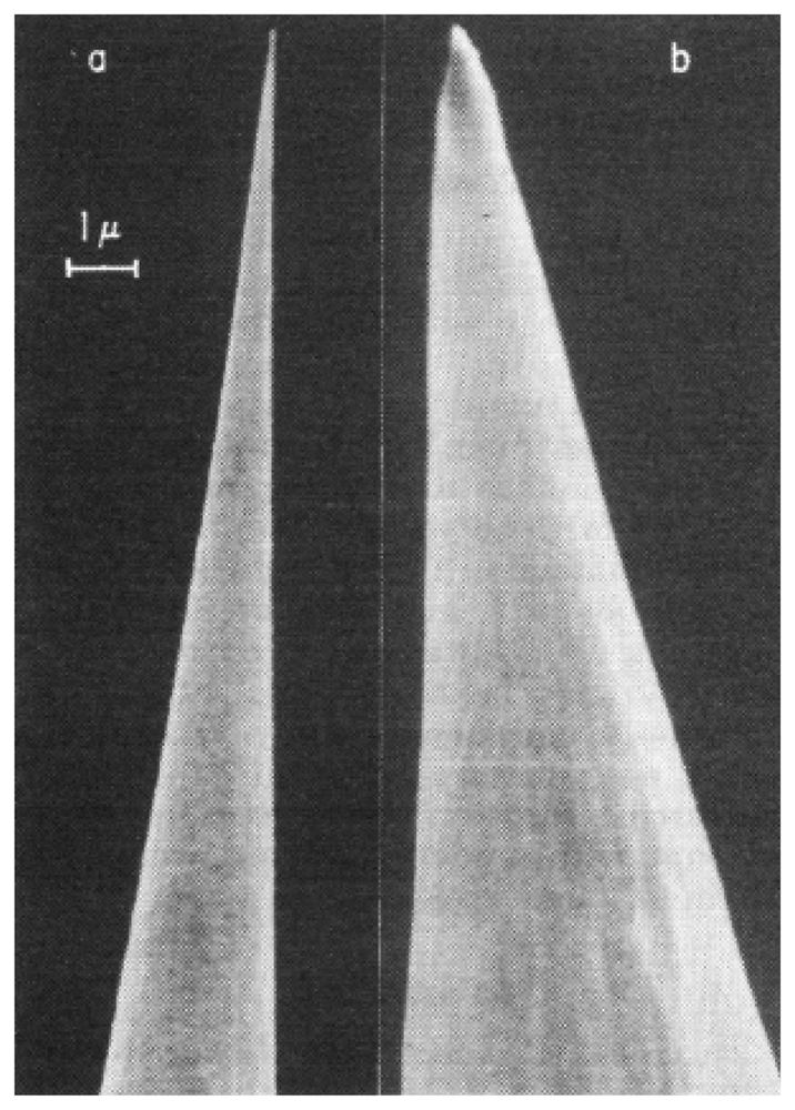 Sensors 08 06704f1