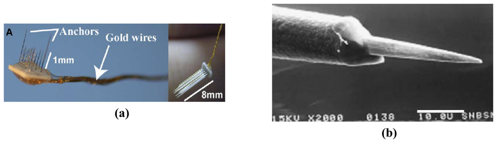 Sensors 08 06704f2