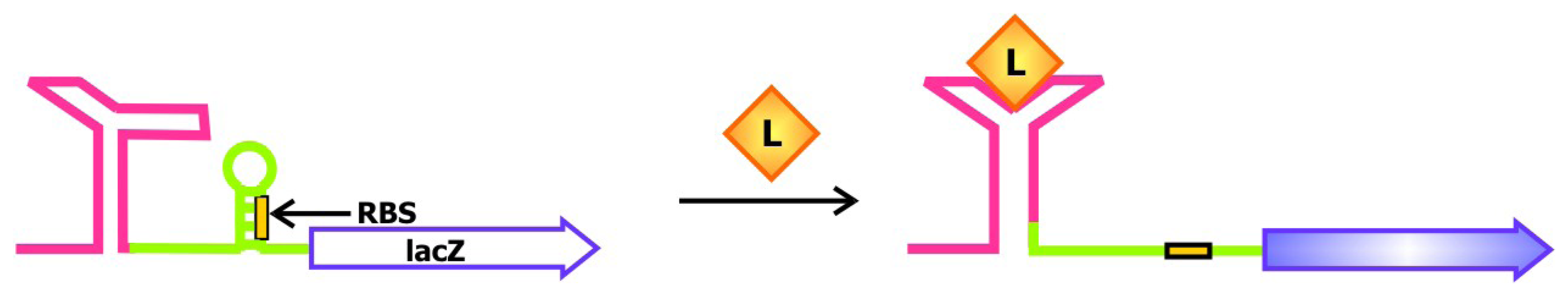 Sensors 08 07050f11 1024