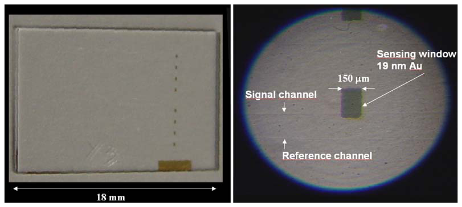 Sensors 08 07113f9 1024